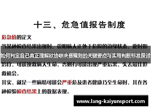 如何判定自己真正理解欧协联决赛规则的关键要点与实用判断标准探讨