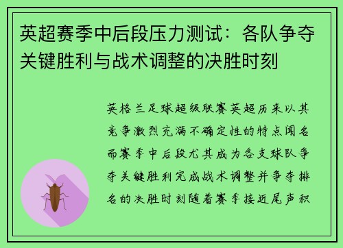 英超赛季中后段压力测试:各队争夺关键胜利与战术调整的决胜时刻 英超赛季中后段压力测试:各队争夺关键胜利与战术调整的决胜时刻